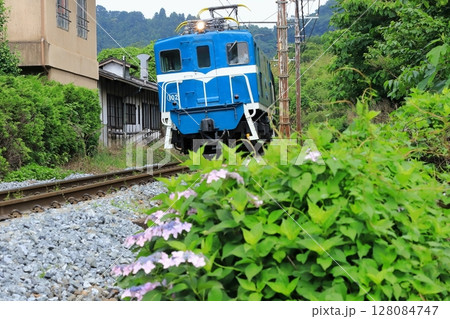 秩父鉄道「紫陽花咲く沿線風景を走る電気機関車」 秩父鉄道「紫陽花咲く沿線風景を走る電気機関車」 128084747