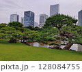 都会の公園 128084755