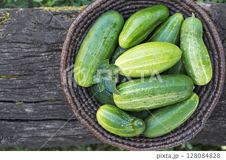 Cucumber harvest Cucumber harvest 128084828
