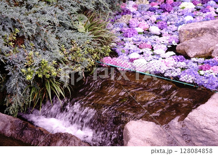 紫陽花が彩る小川 紫陽花が彩る小川 128084858