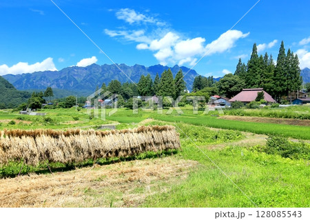 夏の戸隠高原 128085543