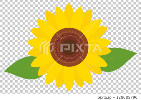 Sunflower illustration summer flower 128085790