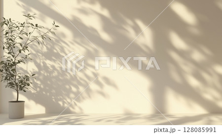 Empty room beige wall with shadow sun light and plant from window 128085991