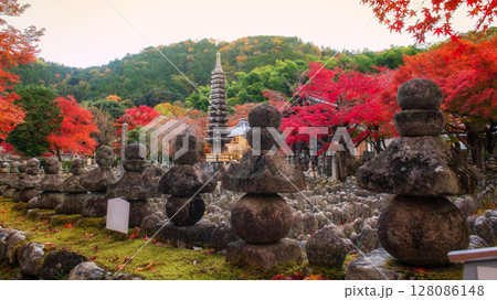Stone pagoda in graveyard in fall color, Adashino temple, Arashiyama 128086148