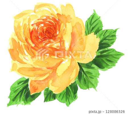 水彩で描いた黄色い薔薇25705pix7 128086326