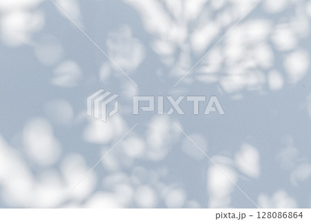 Abstract natural tree leaves shadow on white wall background 128086864