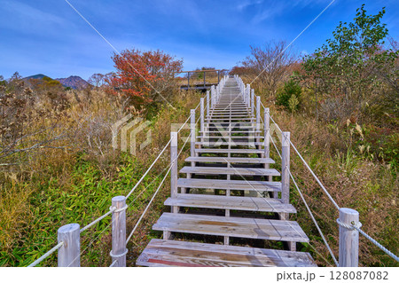 秋の山梨県北杜市美し森山の木製階段から展望台方面を見る 128087082