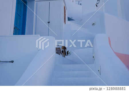 2025年のサントリーニ島の美しい風景 128088881