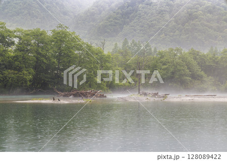 静寂に包まれた雨の大正池(上高地) 静寂に包まれた雨の大正池(上高地) 128089422