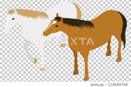 White horse and chestnut horse 128089708