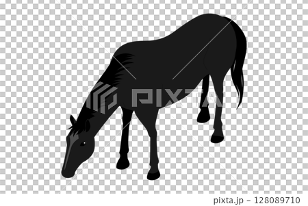 A black horse stretching its neck to eat grass on the ground 128089710