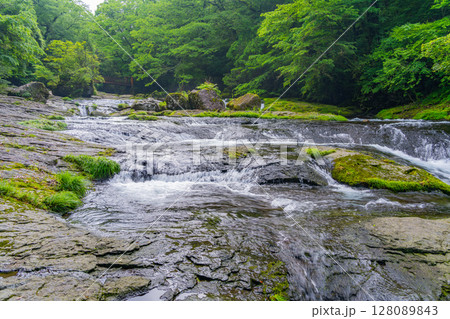 (熊本県)菊池渓谷 広河原 (熊本県)菊池渓谷 広河原 128089843