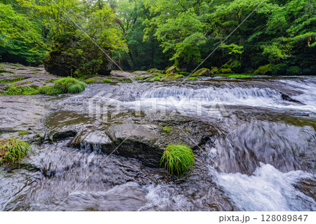 （熊本県）菊池渓谷　広河原 128089847