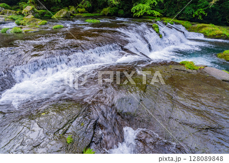（熊本県）菊池渓谷　広河原 128089848