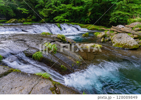 (熊本県)菊池渓谷 広河原 (熊本県)菊池渓谷 広河原 128089849