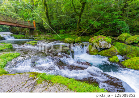 (熊本県)菊池渓谷 広河原 (熊本県)菊池渓谷 広河原 128089852