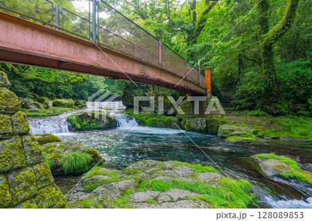 （熊本県）菊池渓谷　広河原 128089853
