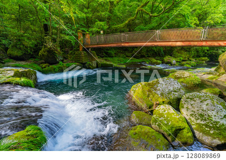 （熊本県）菊池渓谷　広河原 128089869