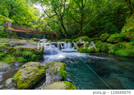 (熊本県)菊池渓谷 広河原 (熊本県)菊池渓谷 広河原 128089870
