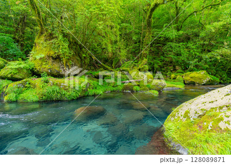（熊本県）菊池渓谷　広河原 128089871