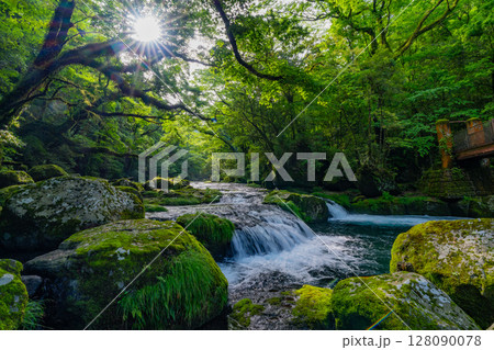 （熊本県）菊池渓谷　新緑が美しい広河原 128090078