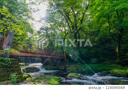 （熊本県）菊池渓谷　新緑が美しい広河原 128090089
