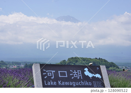 河口湖　風景　看板　 128090522