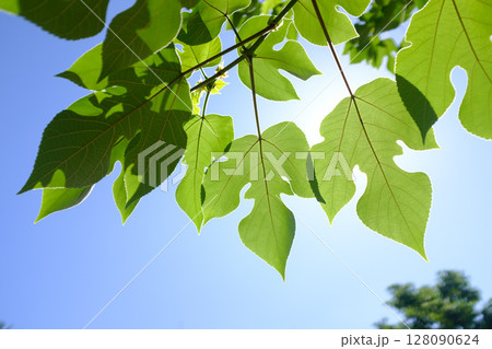 爽快 爽やか リフレッシュ 128090624