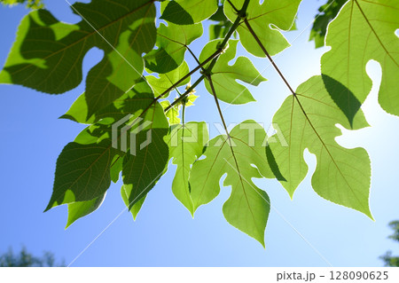 爽快 爽やか リフレッシュ 128090625