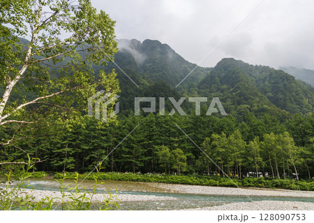 上高地の深い緑と倒木|初夏の森林風景 上高地の深い緑と倒木|初夏の森林風景 128090753