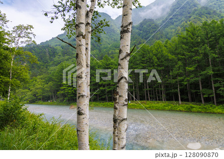 白樺, 梓川, 上高地, 清流, 涼しげ, 自然風景, 長野県, 夏の風景, 信州, 緑豊か, 癒し 128090870