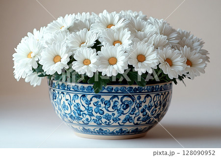 Perfect for gardening or plant care content. Chrysanthemums plant with white flowers on a white background. Small potted plant. 128090952