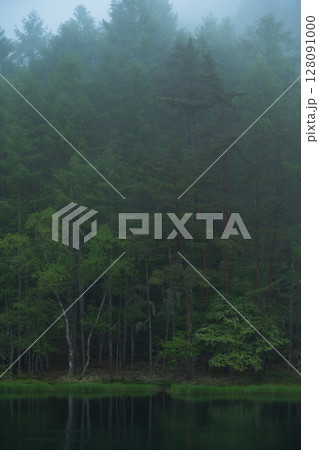 新緑の御射鹿池 128091000