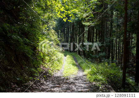 東京都の林道 - 東京都西多摩郡日の出町,日本 東京都の林道 - 東京都西多摩郡日の出町,日本 128091111