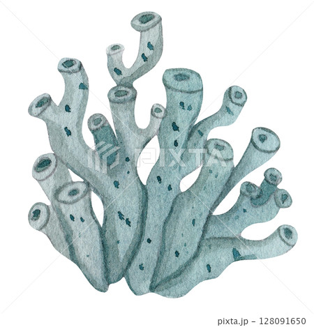 Watercolor green sea coral, ocean algae. Isolated on white background, hand drawn. Marine and underwater flora, marine underwater elements. 128091650