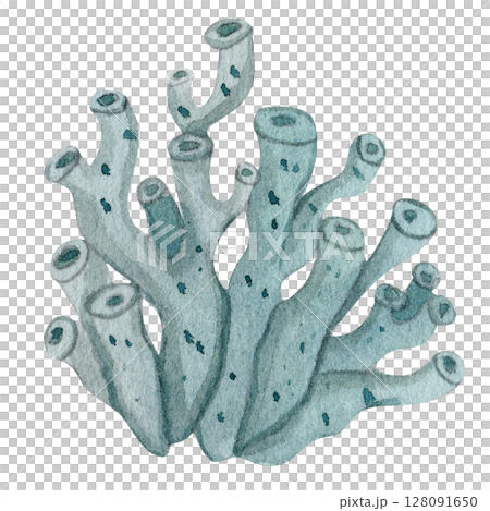 Watercolor green sea coral, ocean algae. Isolated on white background, hand drawn. Marine and underwater flora, marine underwater elements. 128091650