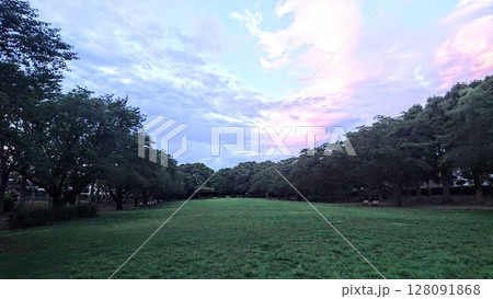 公園の夕暮れ 公園の夕暮れ 128091868