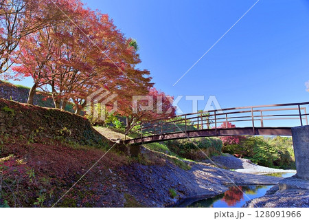 断層公園の紅葉 断層公園の紅葉 128091966