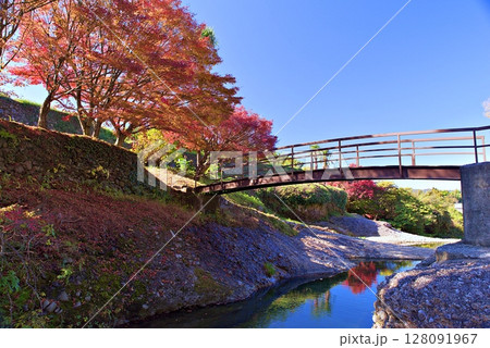 断層公園の紅葉 128091967