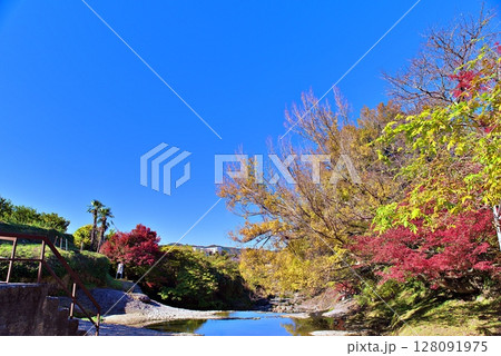断層公園の紅葉 断層公園の紅葉 128091975