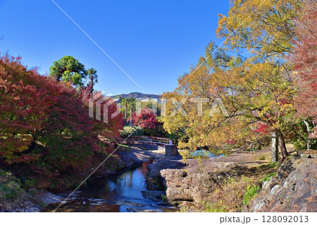 断層公園の紅葉 断層公園の紅葉 128092013