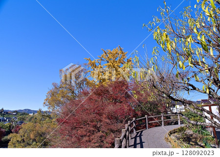 断層公園の紅葉 128092023