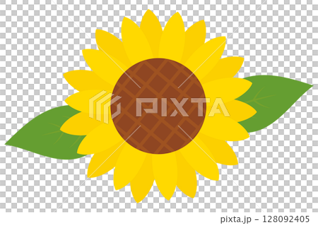 Cute sunflower vector illustration 128092405