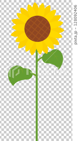 一輪のひまわりのイラスト 一輪のひまわりのイラスト 128092406