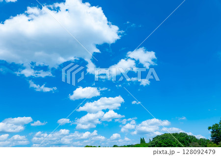 青空と雲と木立 128092479