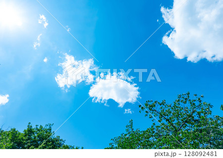 青空と雲と木立 青空と雲と木立 128092481