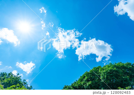 青空と雲と木立 128092483