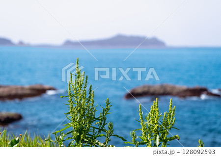 Afternoon View of Sea Rocks and Keelung Islet in Shimen, Taiwan. 128092593