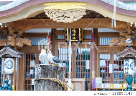 蕪嶋神社とウミネコたち 〜金運祈願のパワースポット 128093143