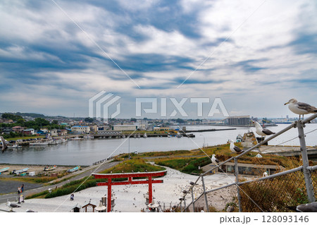 蕪嶋神社とウミネコたち 〜金運祈願のパワースポット 蕪嶋神社とウミネコたち 〜金運祈願のパワースポット 128093146